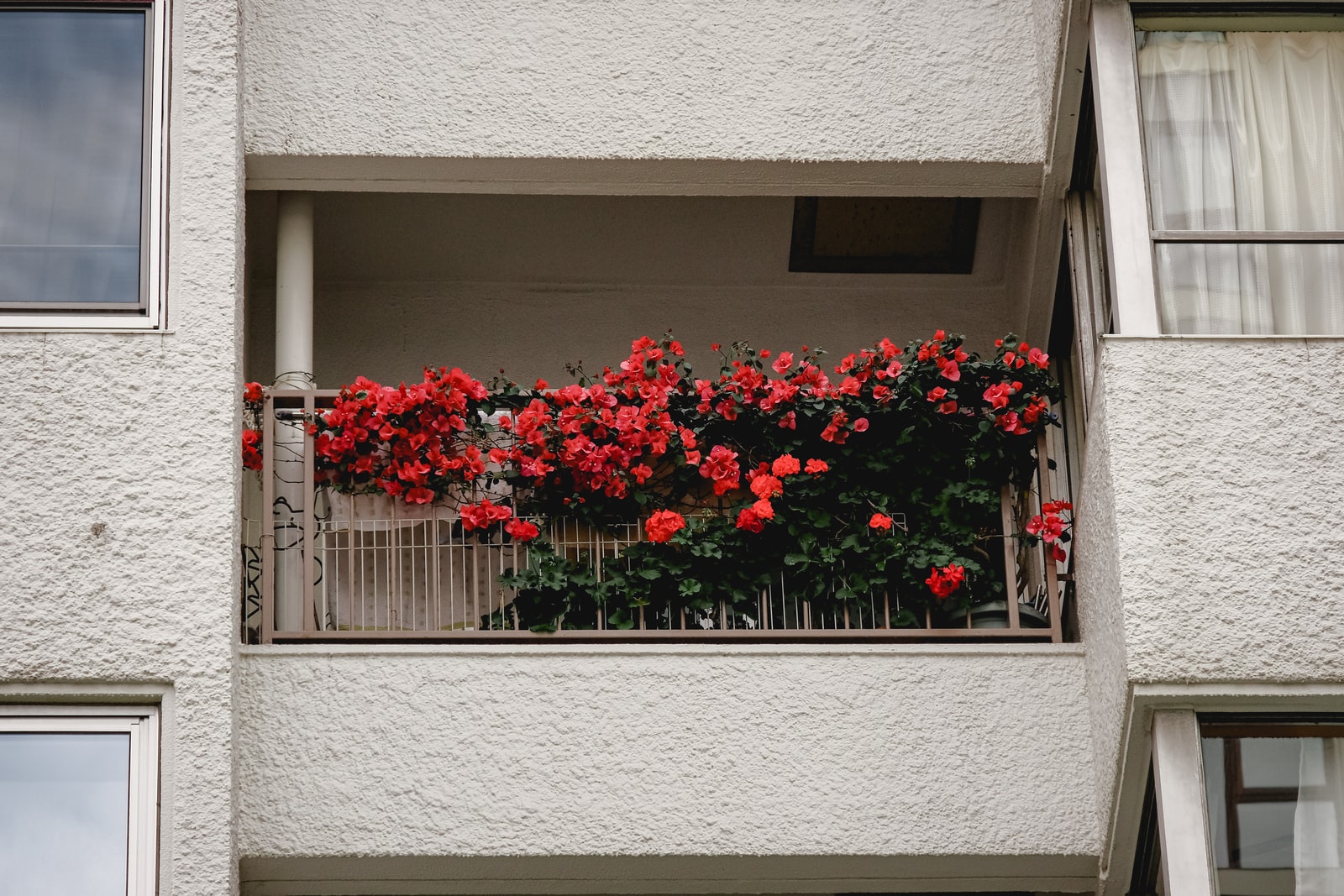 Quelles plantes mettre sur son balcon ? - Just in Déco